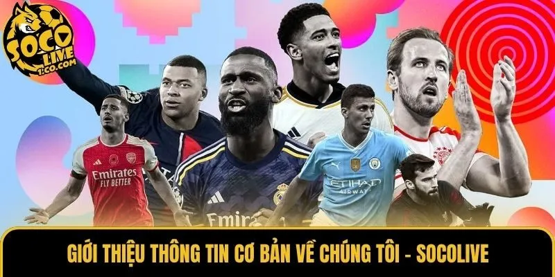 Giới thiệu thông tin cơ bản về chúng tôi - Socolive