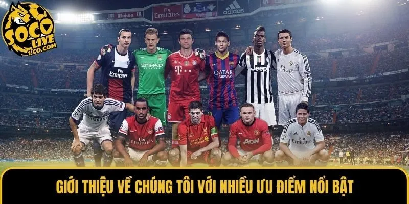 Giới thiệu về chúng tôi với nhiều ưu điểm nổi bật